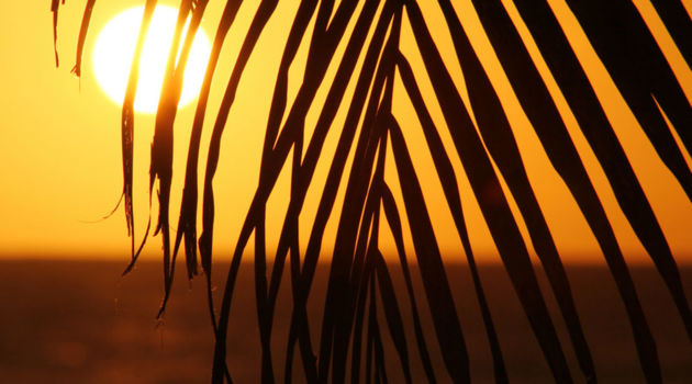 Montezuma en Mal País