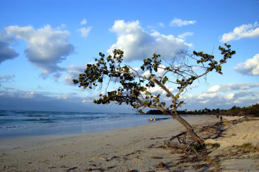 Varadero en Isla de Juventud