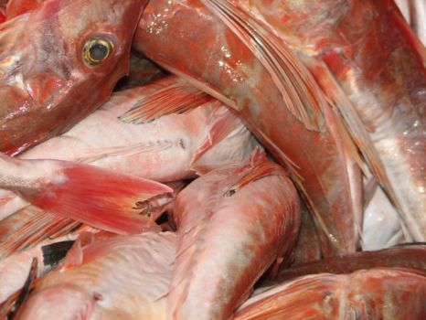 La Libertad en El Zonte