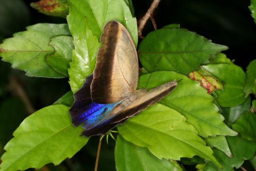 Montecristo Trifinio National Park