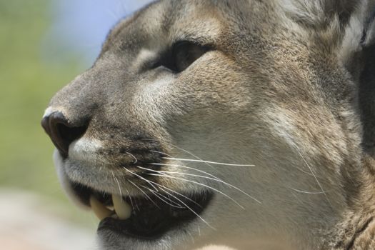 La Mosquitia: Río Plátano Biosphere Reserve