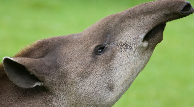 La Mosquitia: Río Plátano Biosphere Reserve