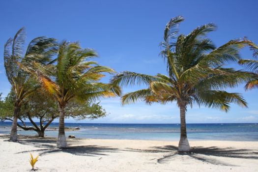 Honduras