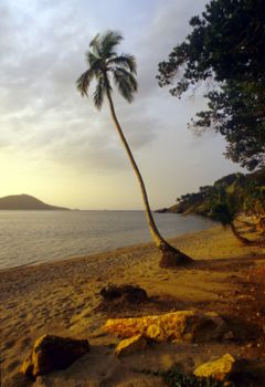 Cayos Cochinos