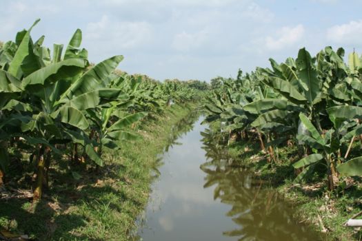 Honduras