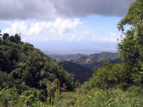 Jamaica