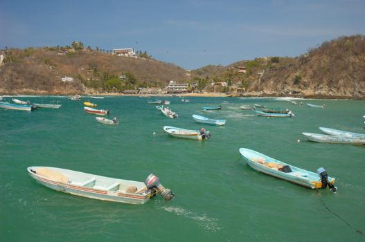 Oaxacakust
