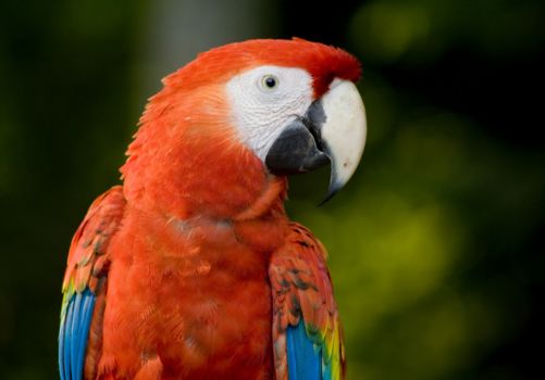 Panama