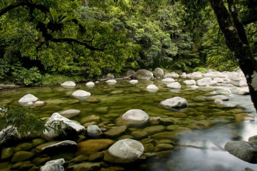 Daintree National Park