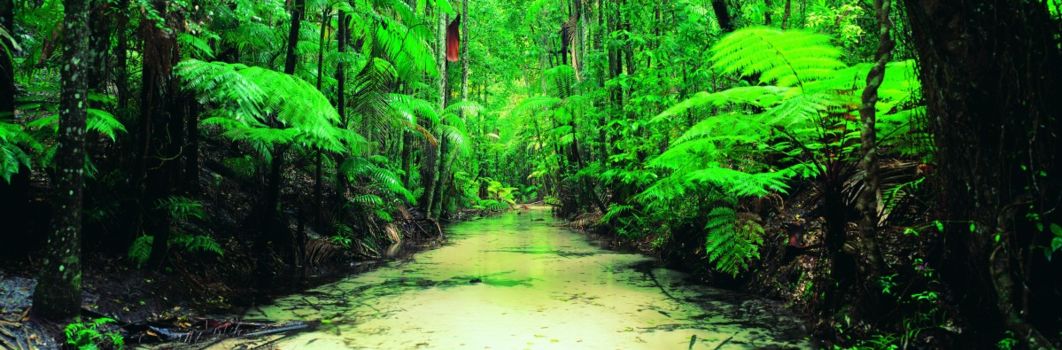 The Great Tropical Drive