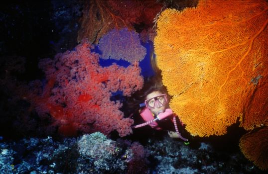 Great Barrier Reef