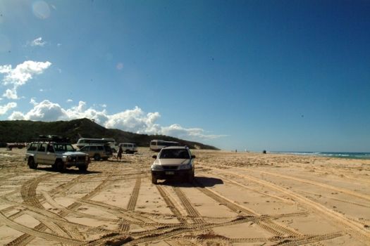 K'Gari (voorheen Fraser Island)