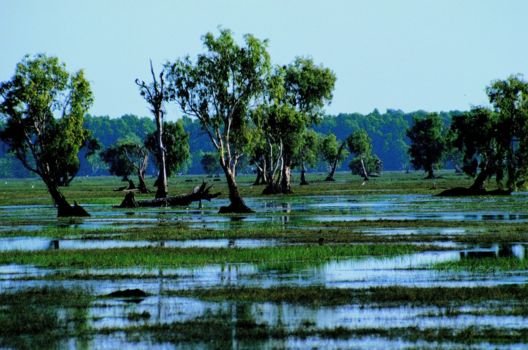 Kakadu National Park