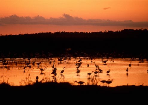 Kakadu National Park
