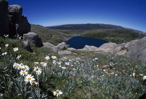 Snowy Mountains