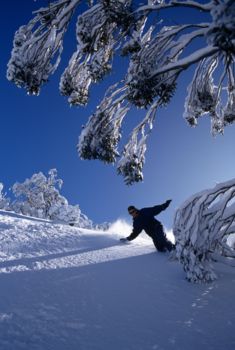 Snowy Mountains