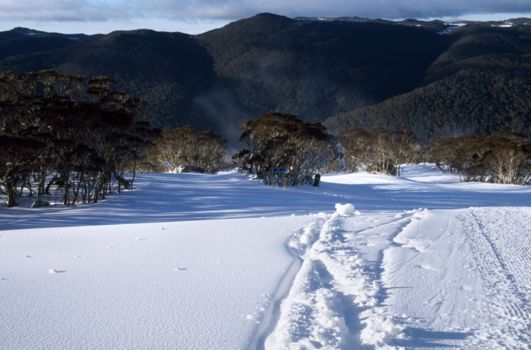 Snowy Mountains