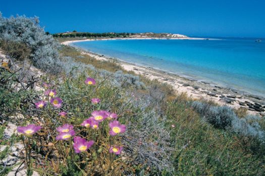 Esperance