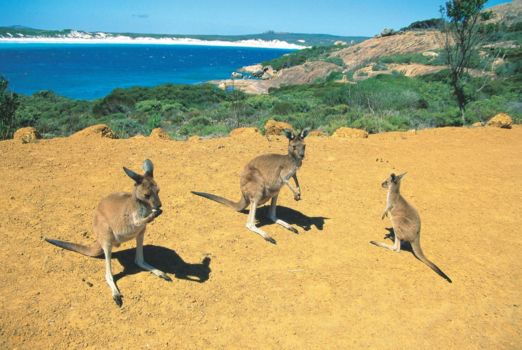 Esperance