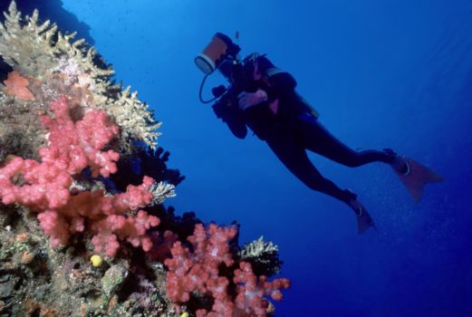 Fiji