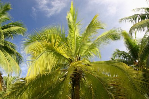 Tahiti