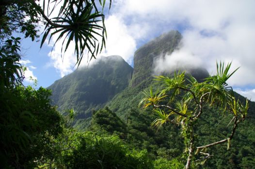 Tahiti