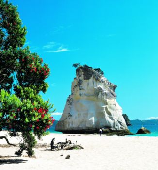 Coromandel Peninsula