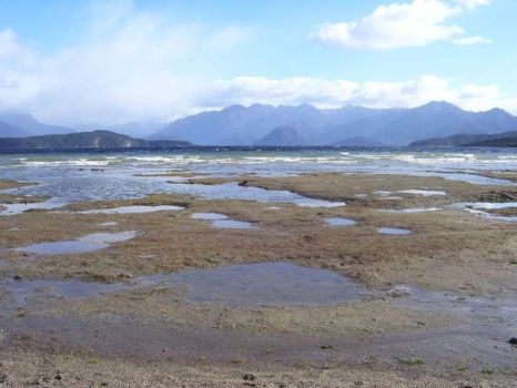 Fiordland National Park