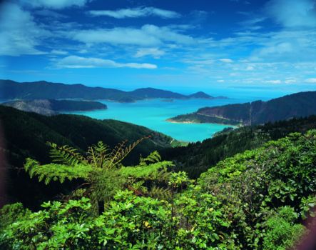 Marlborough Sounds