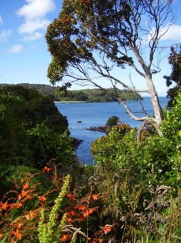 Stewart Island