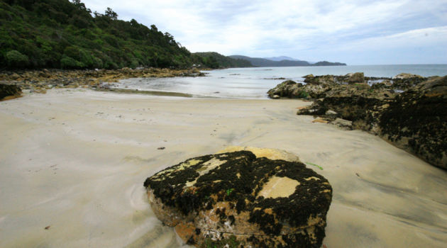 Stewart Island