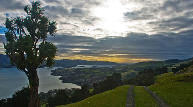 Otago Peninsula