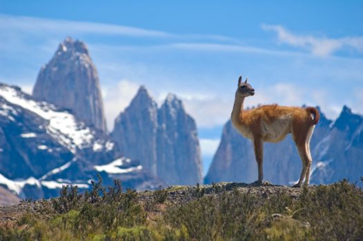 Argentinië