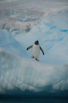 Antarctica