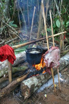 Madidi National Park