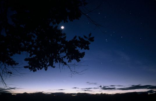 Madidi National Park