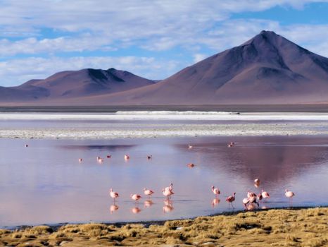 Bolivia