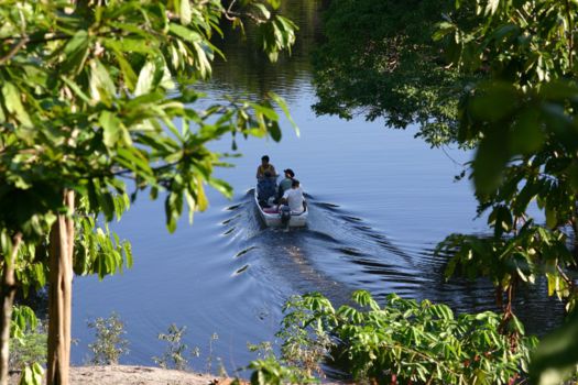 Mamirauá Reserve