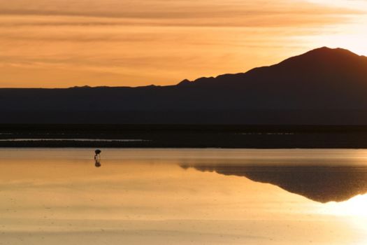 San Pedro de Atacama