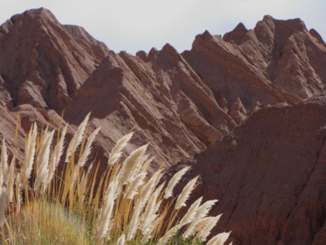 San Pedro de Atacama