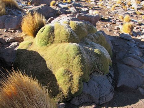 San Pedro de Atacama