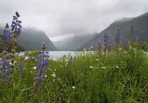 Carretera Austral