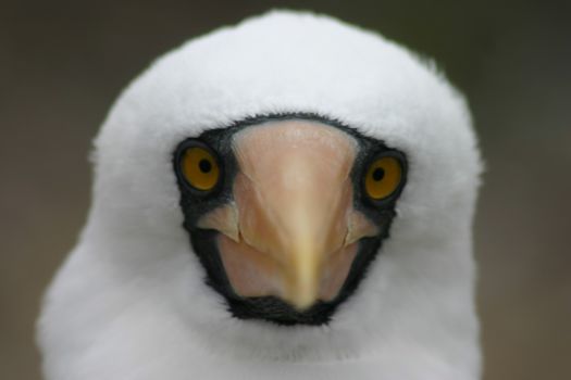 Ecuador