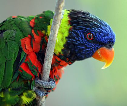 Ecuador