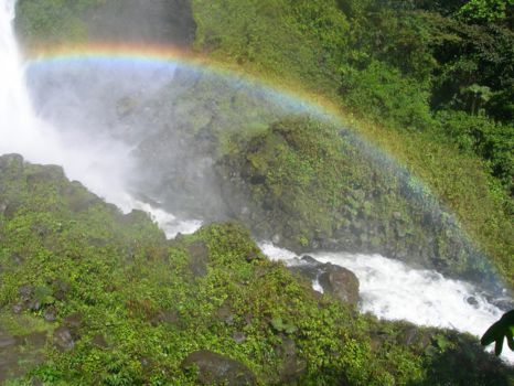 Podocarpus National Park