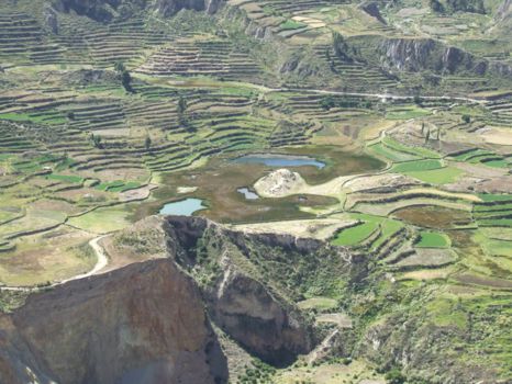 Colca Canyon