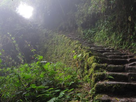 Inca Trail