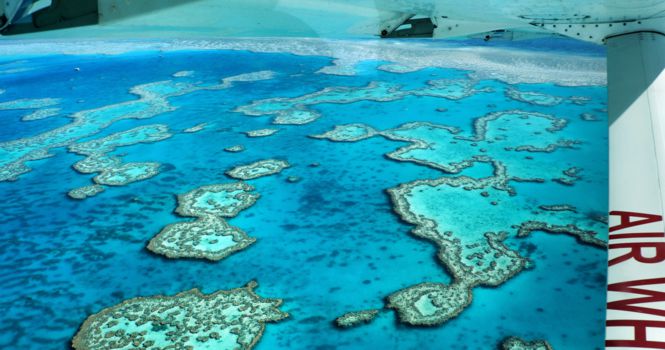 Rondvlucht over het Great Barrier Reef, een must-do