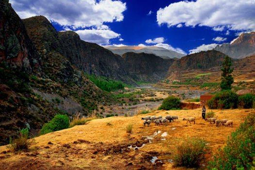 Peru