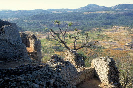 Zimbabwe